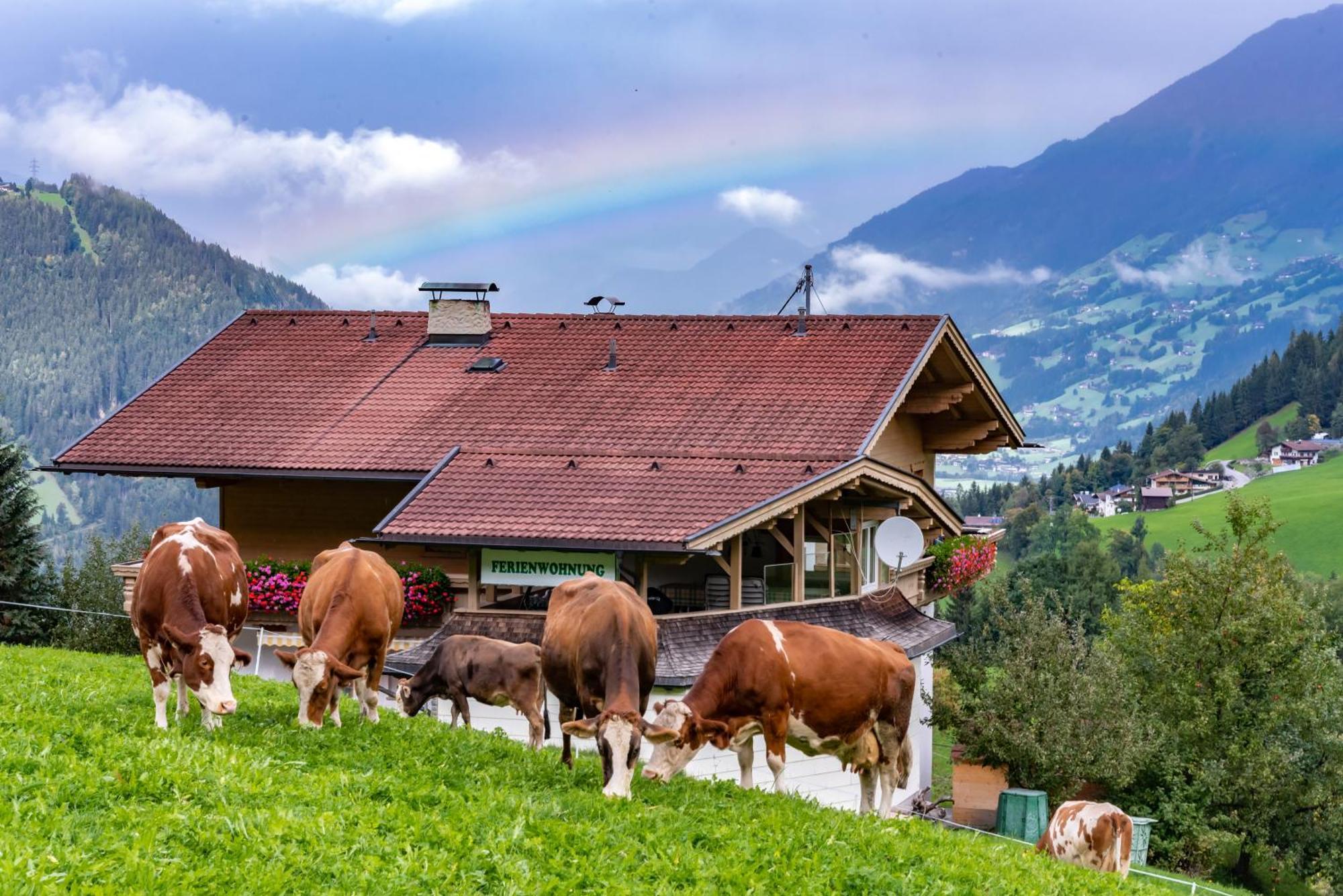 Ferienwohnung Ausblick Zillertal Хайнценберг Екстериор снимка
