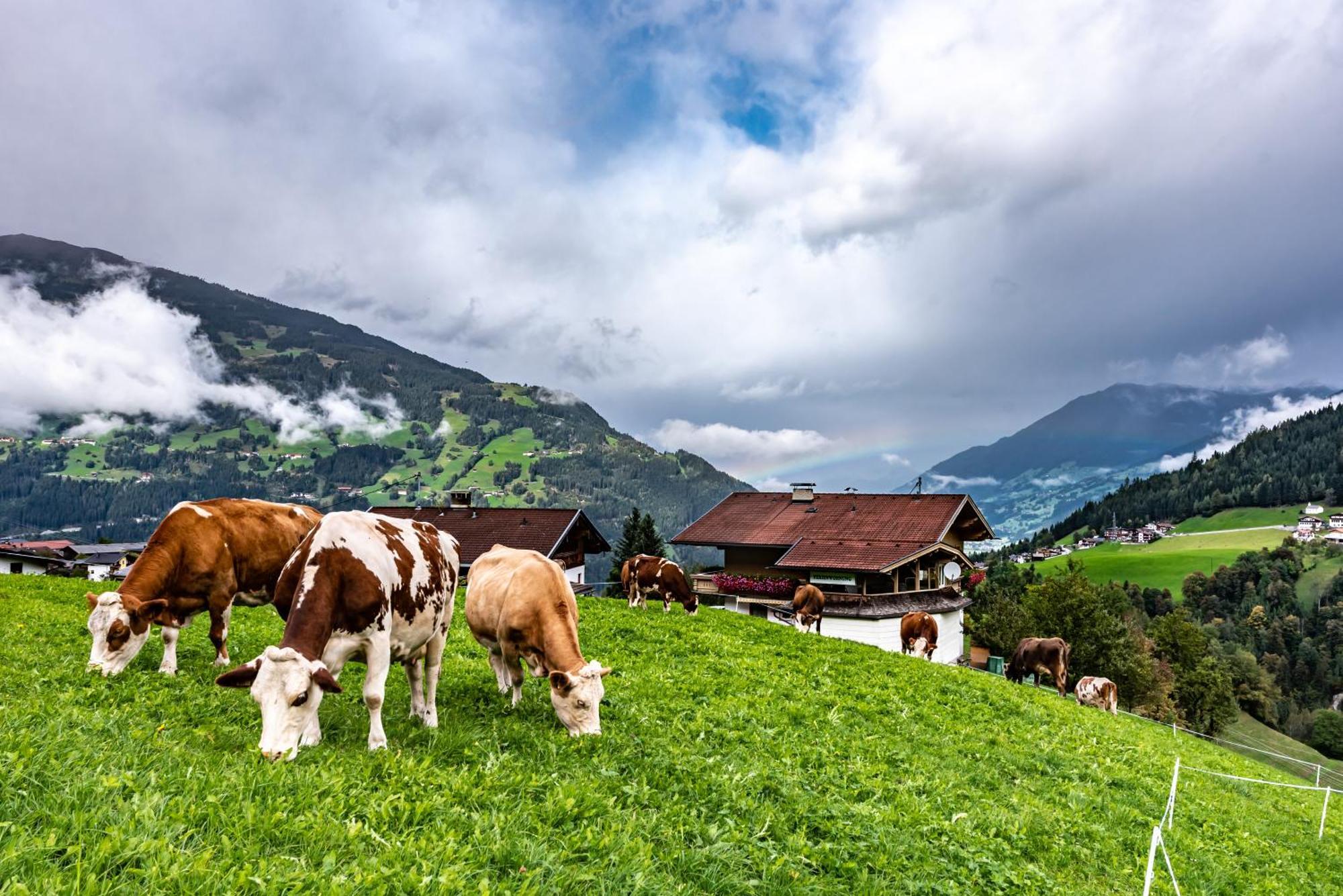 Ferienwohnung Ausblick Zillertal Хайнценберг Екстериор снимка