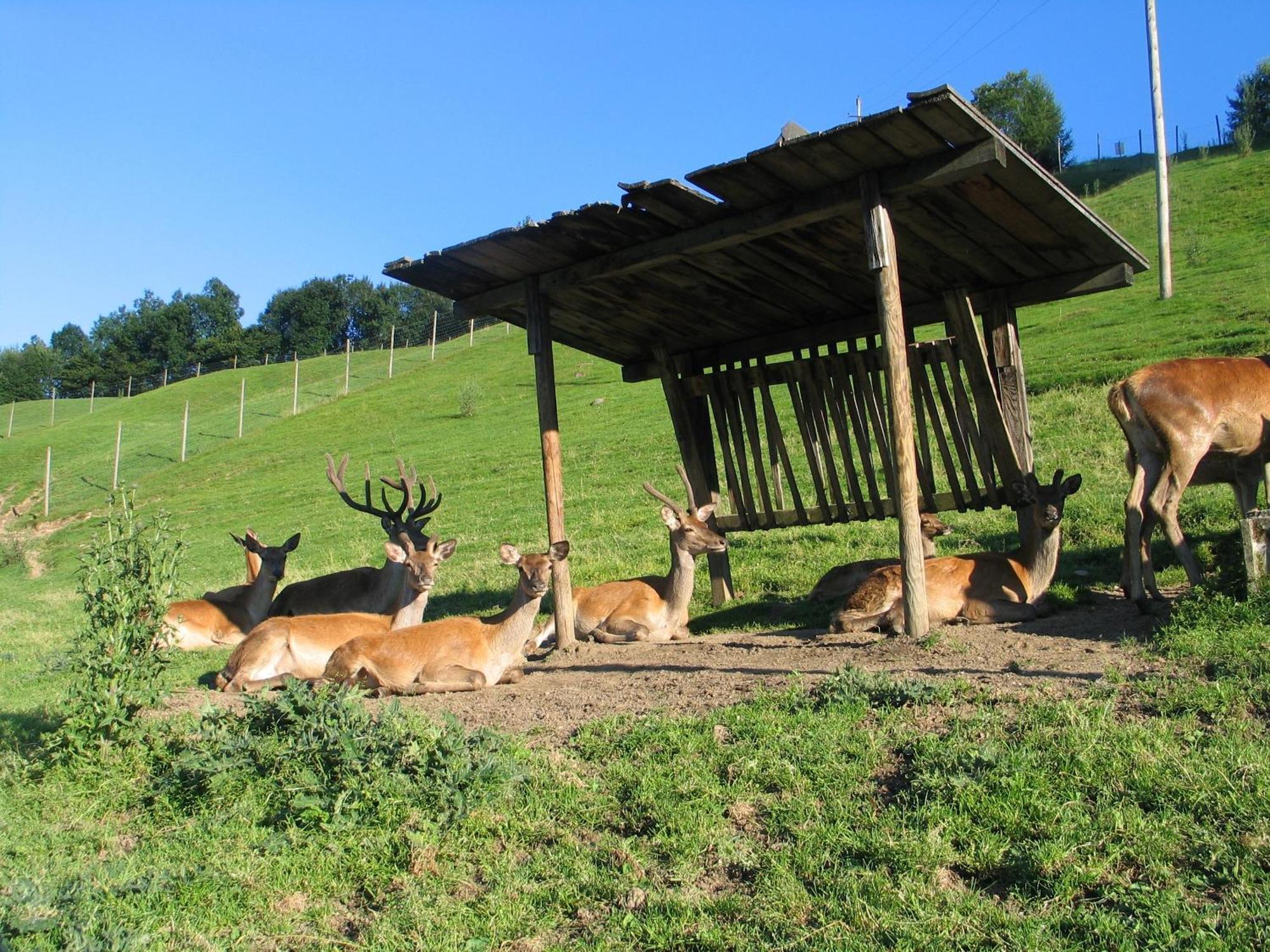 Ferienwohnung Ausblick Zillertal Хайнценберг Екстериор снимка